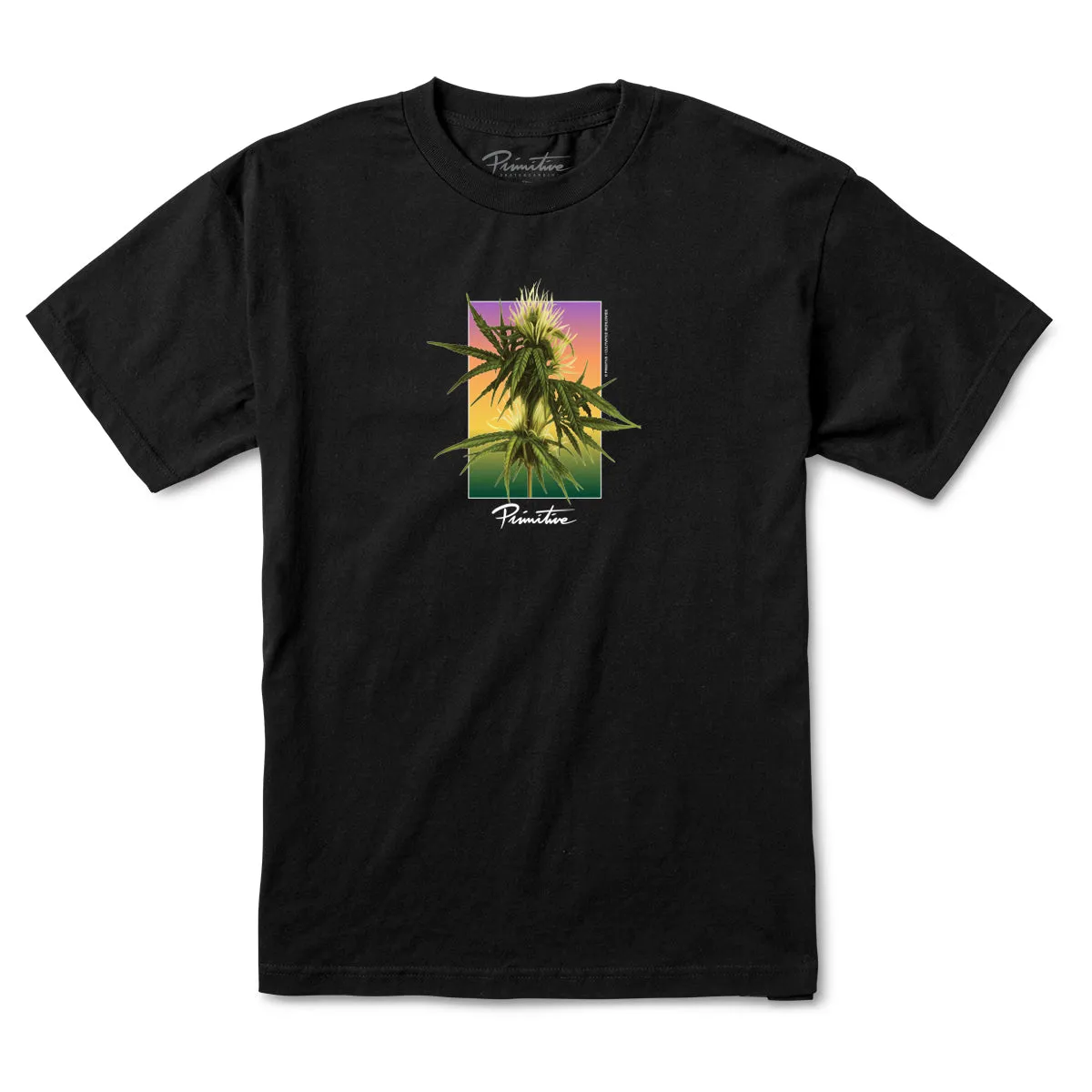 HOMEGROWN TEE sold by Primitive product image thumbnail 2
