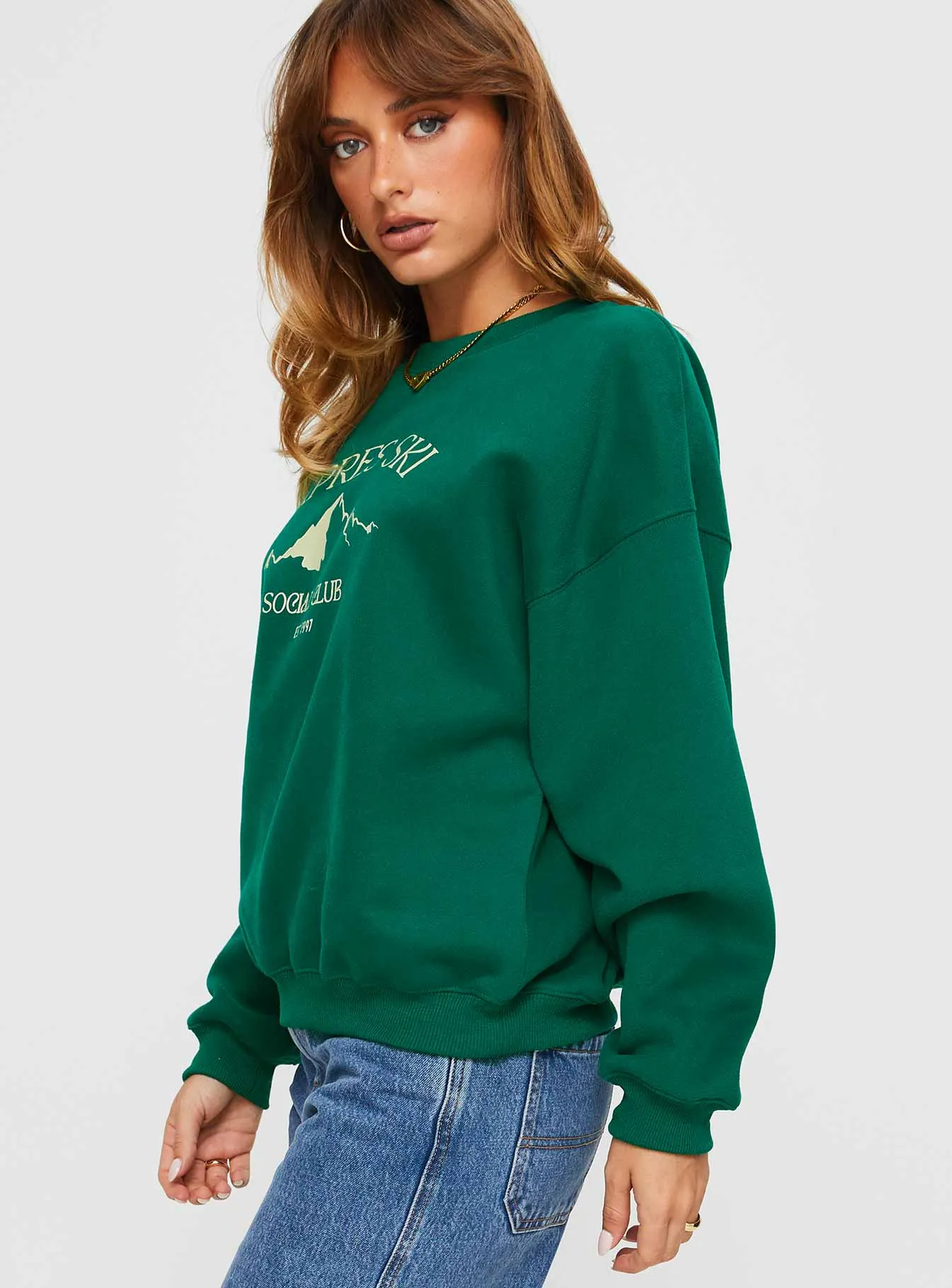 Apres Ski Crew Neck Sweatshirt Green / Cream sold by Princess Polly product image thumbnail 4