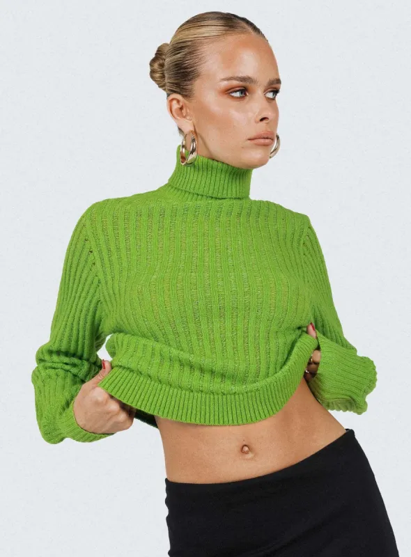 Mckilah Turtleneck Knit Sweater Green sold by Princess Polly
