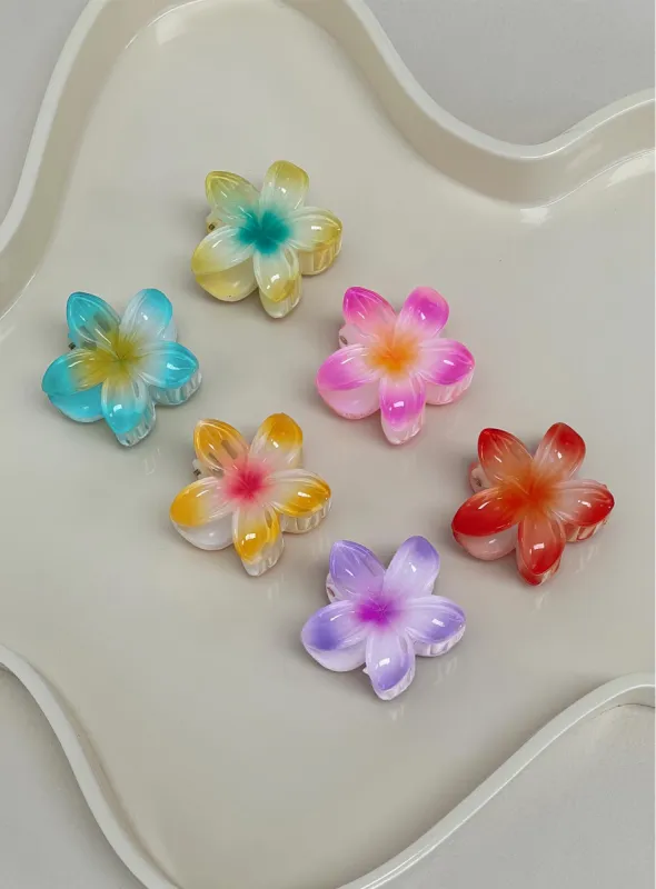 Young Forever Hair Clip Pack Multi sold by Princess Polly