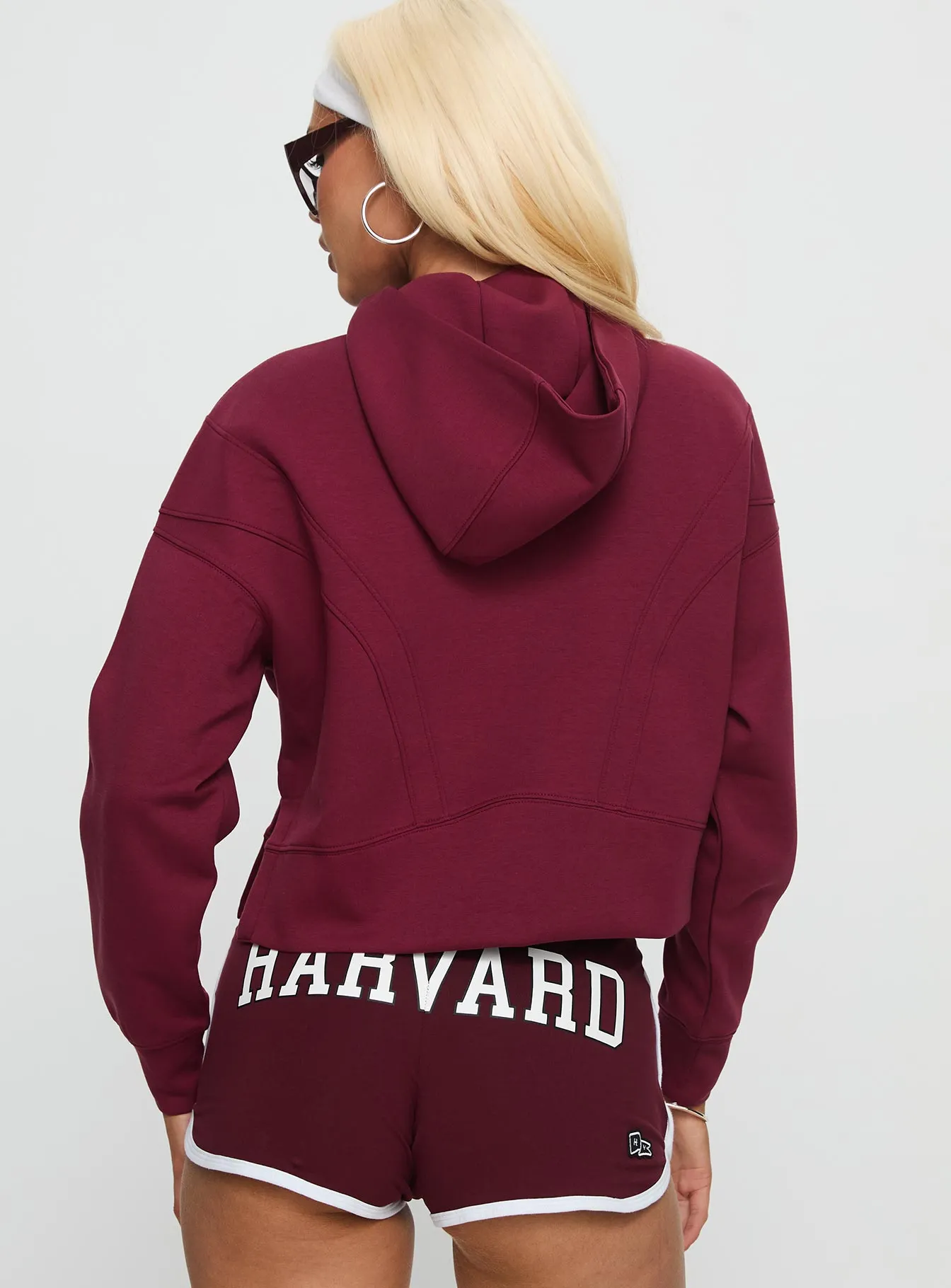Harvard Buttersport Half-zip Hoodie Crimson sold by Princess Polly product image thumbnail 5