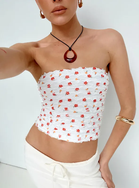 Dayrella Tube Top Multi sold by Princess Polly