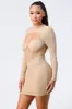 METALLIC SEE-THROUGH RIBBED CUT-OUT BODYCON DRESS sold by privy