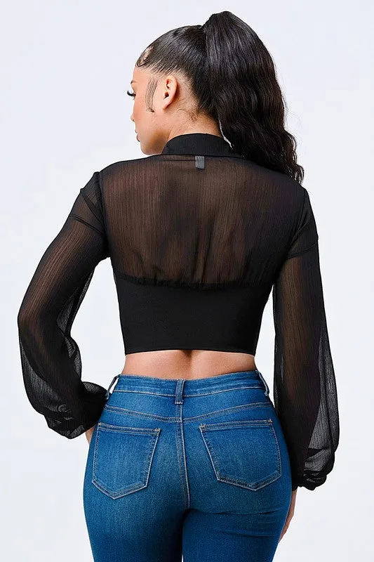 LUXE COLLARED SHEER LONG SLEEVE CROPPED BLOUSE sold by privy product image thumbnail 3