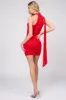 SEXY MESH ROSETTE SCARF NECK RUCHED MINI DRESS sold by privy