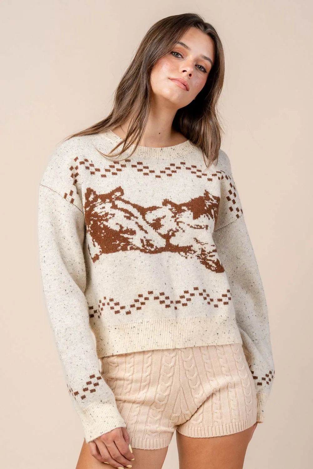 CT10520B / HORSE MOTIF PULLOVER SWEATER sold by privy product image thumbnail 4