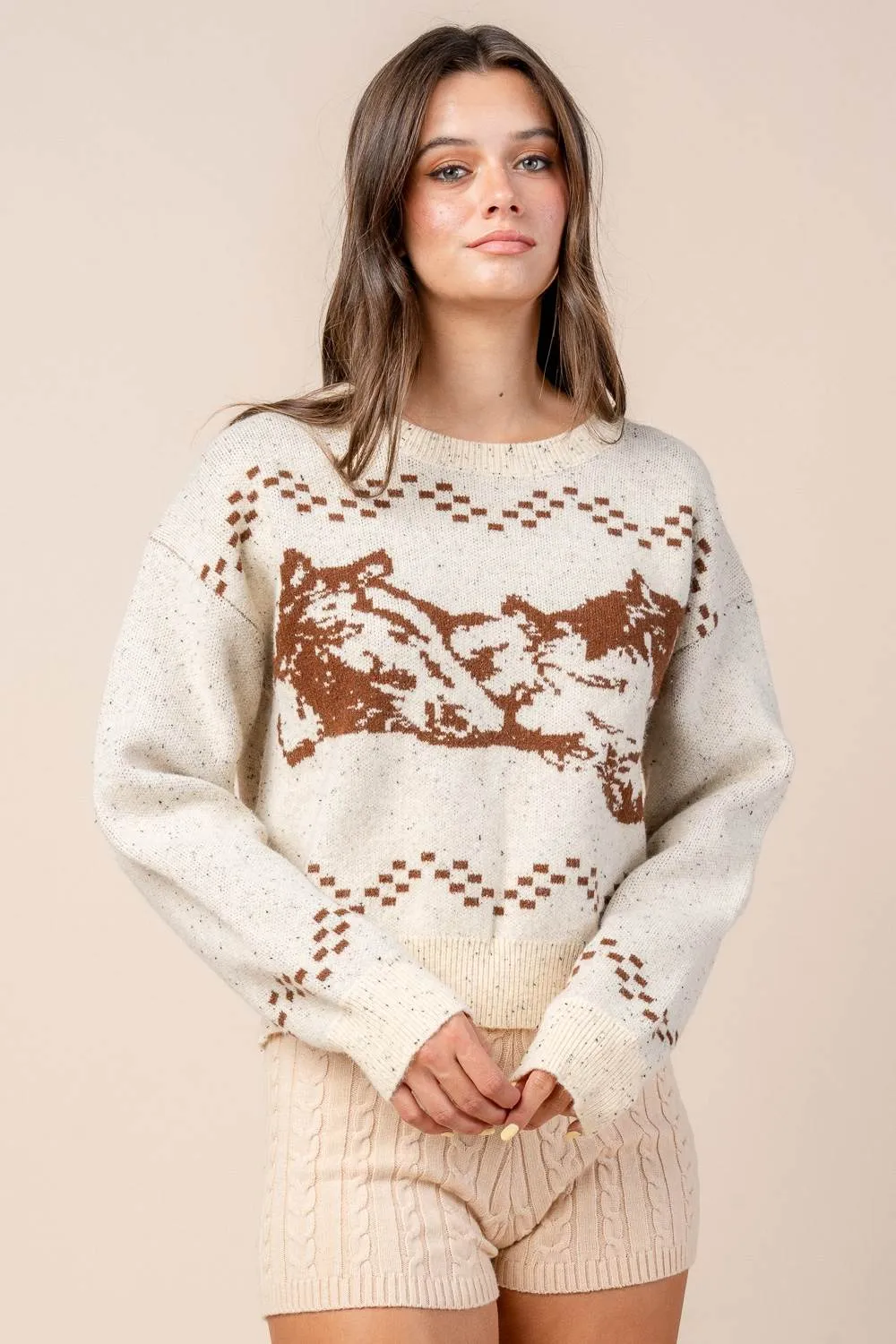 CT10520B / HORSE MOTIF PULLOVER SWEATER sold by privy