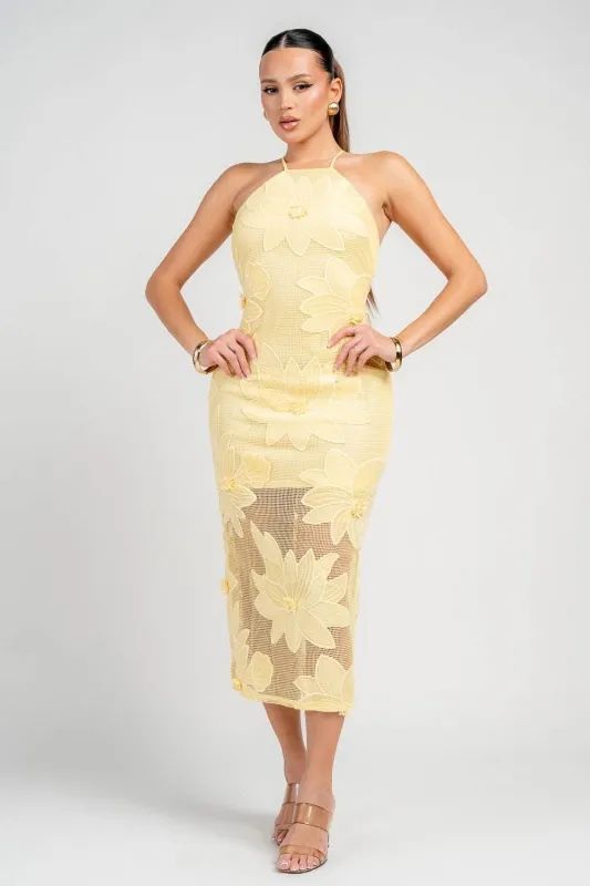 HD30877N / HALTER NECK WITH LACE UP BACK MIDI DRESS sold by privy