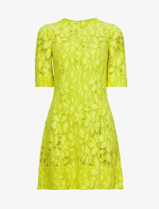 Lace Dress made by Proenza Schouler