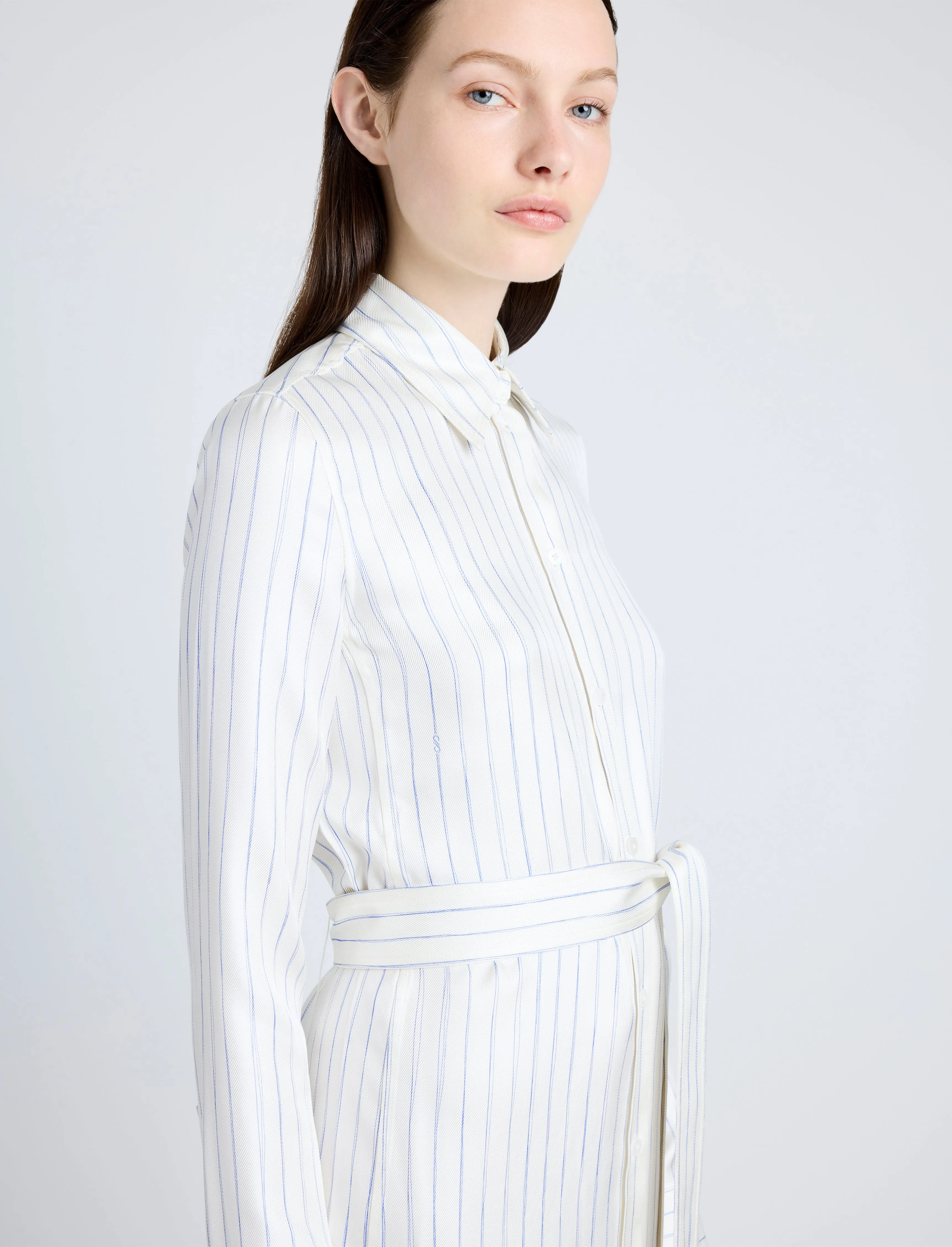 Hannah Dress in Stripe Silk Twill sold by Proenza Schouler product image thumbnail 5