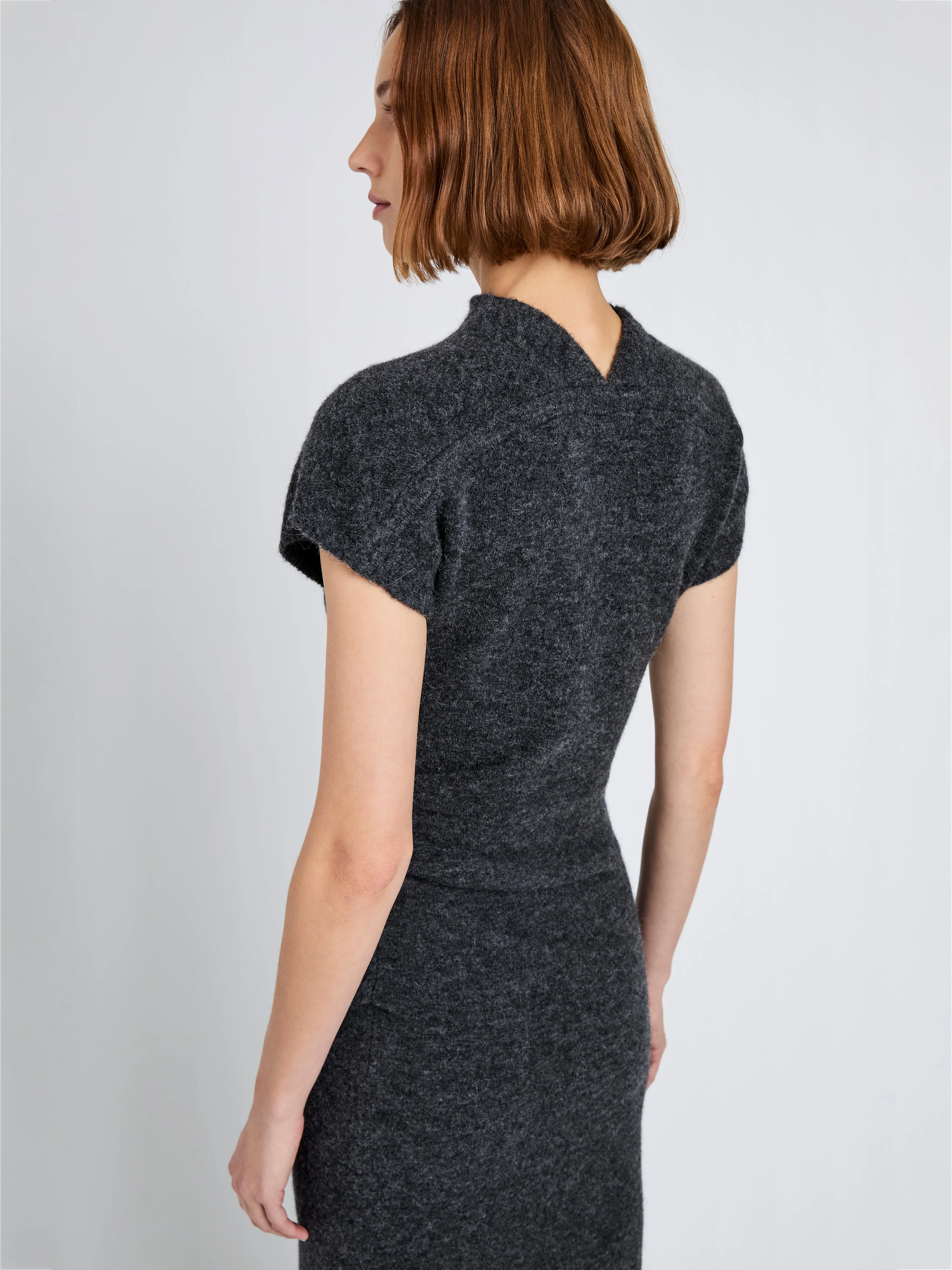 Abie Dress in Clean Boiled Wool sold by Proenza Schouler product image thumbnail 5