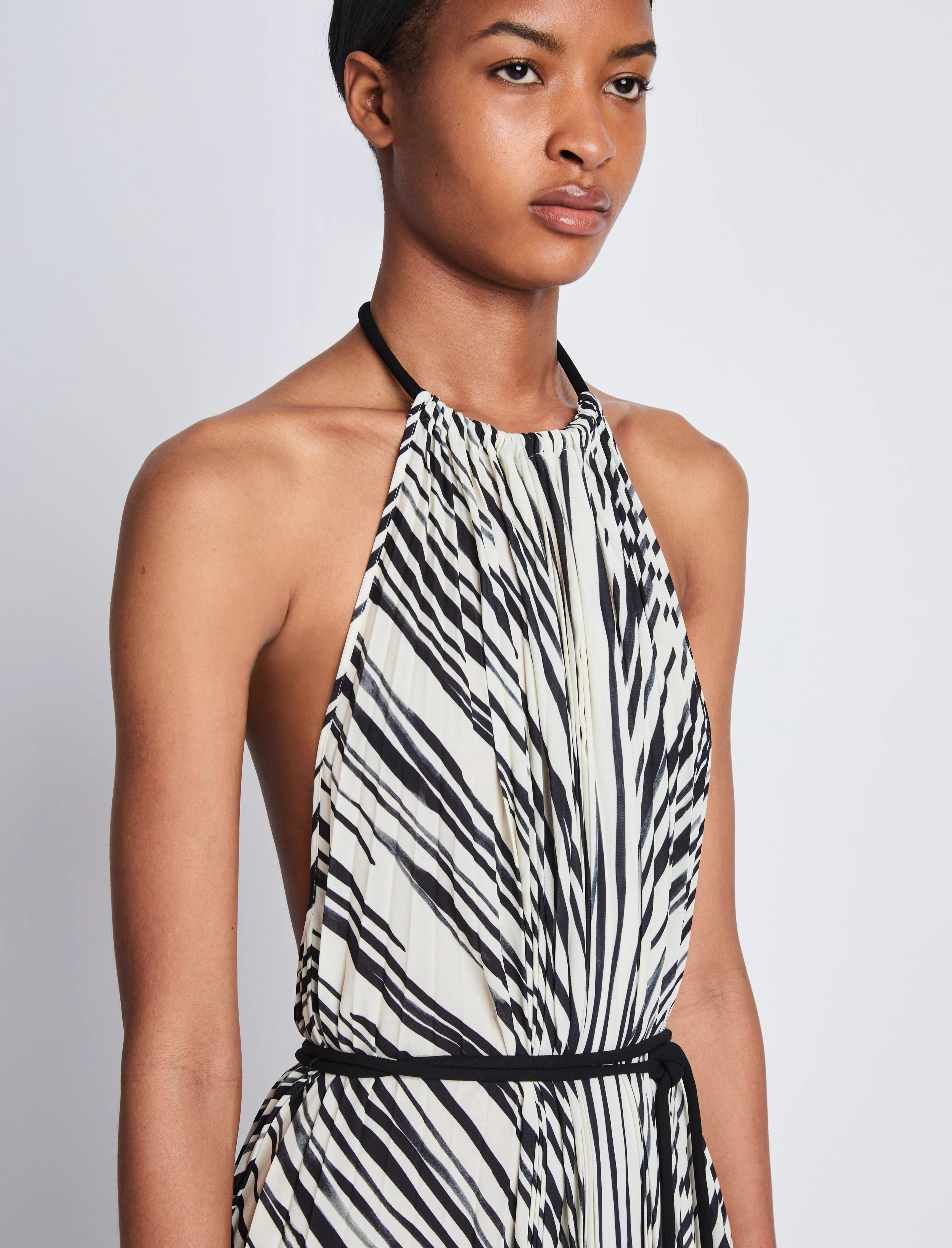 Frida Halter Dress in Printed Sheer Pleated Chiffon sold by Proenza Schouler product image thumbnail 5