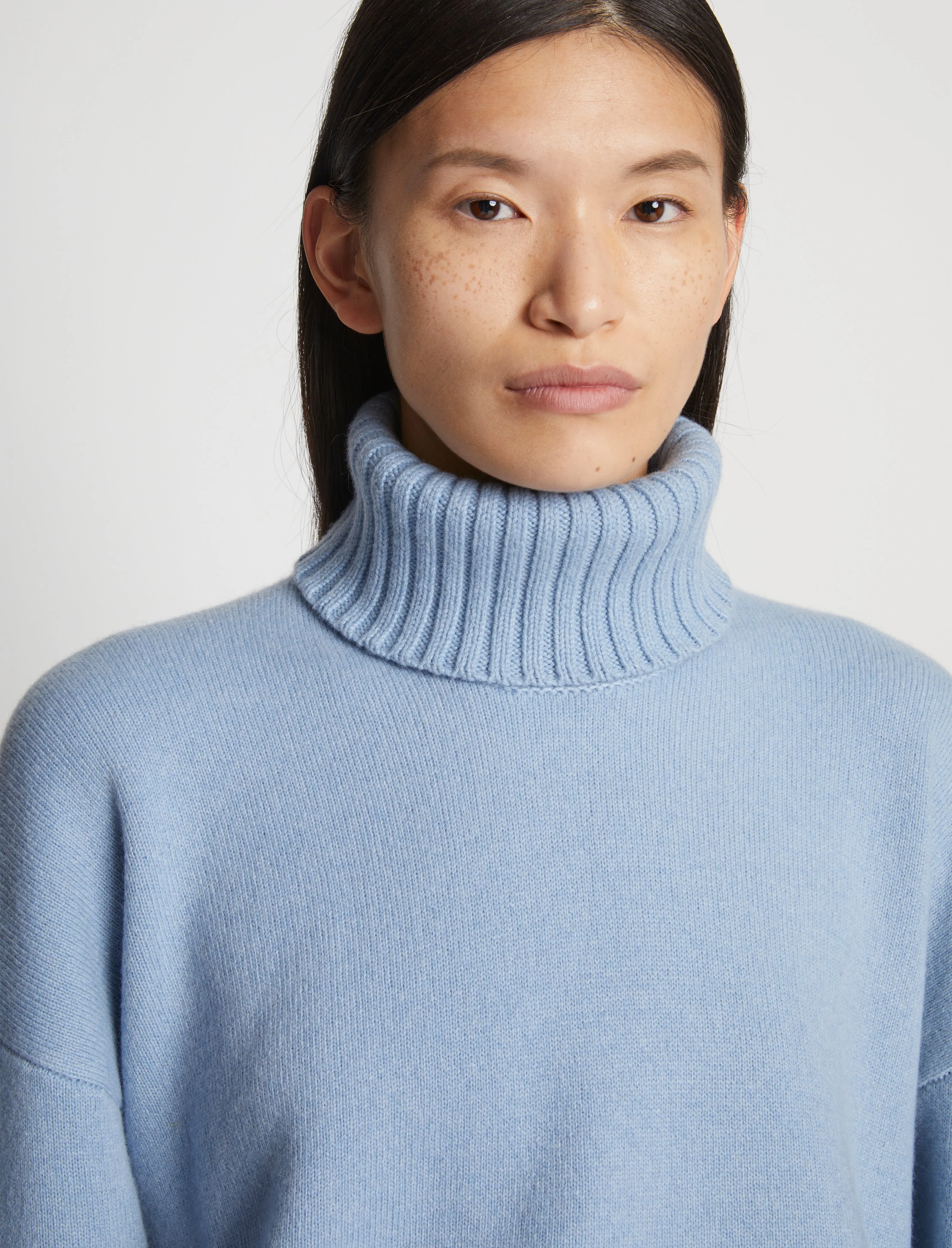 Doubleface Cashmere Oversized Turtleneck sold by Proenza Schouler product image thumbnail 5