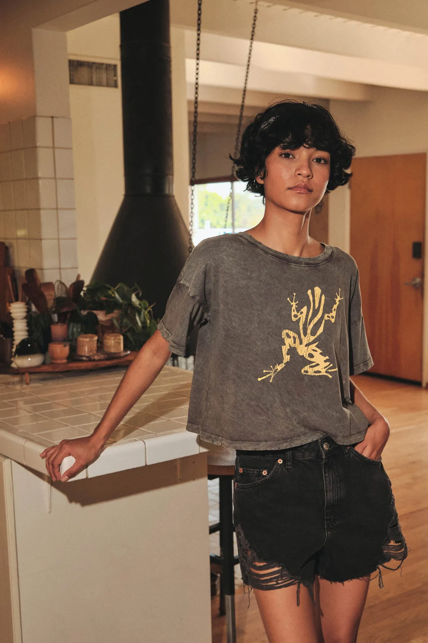 Leap Frog Vintage-Wash Cropped Graphic Tee sold by Promesa product image thumbnail 3