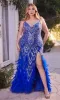 Feathered Plus-Size Long Beaded Prom Dress A1229C sold by PromGirl