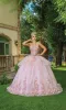 Quinceanera Dress 1583 by Dancing Queen sold by PromGirl