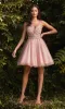 Lace-Bodice Short A-Line Homecoming Dress CLCD0190 sold by PromGirl