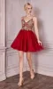 Lace-Bodice Short A-Line Homecoming Dress CLCD0190 sold by PromGirl