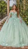 Quinceanera Dress 1838 By Dancing Queen sold by PromGirl