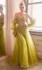 Long Sleeve Strapless Long A-Line Prom Dress CD830 sold by PromGirl