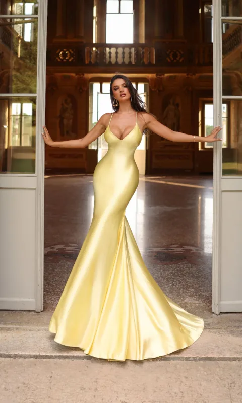 Long Prom Dress: Alyce 61966 sold by PromGirl