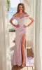 Long Prom Dress: Nox Anabel Y1483 sold by PromGirl