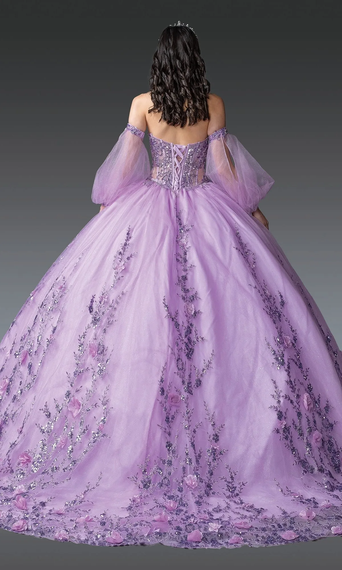 Quinceanera Dress 1953 By Dancing Queen sold by PromGirl product image thumbnail 2