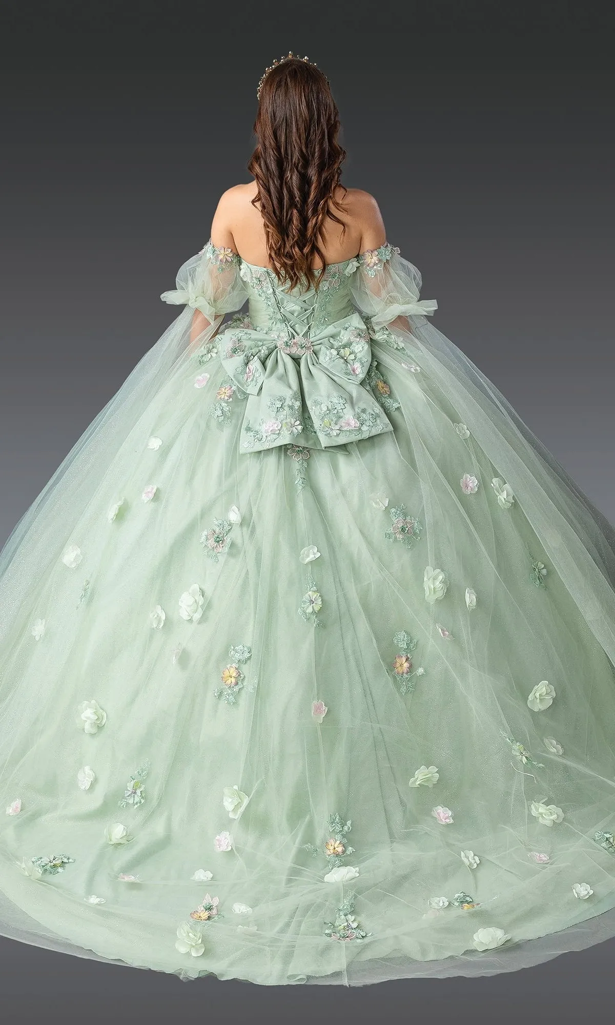 Quinceanera Dress 1945 By Dancing Queen sold by PromGirl product image thumbnail 2