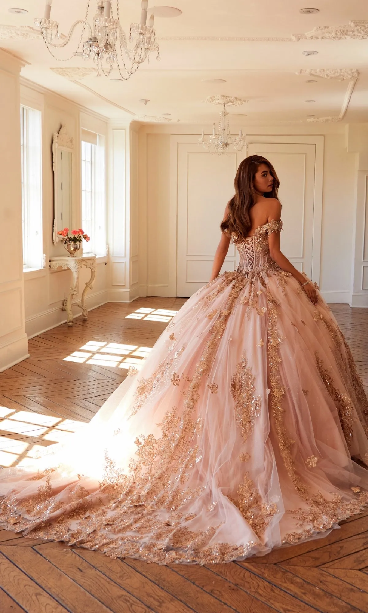 Quinceanera Dress JT1485J By Juliet sold by PromGirl product image thumbnail 5