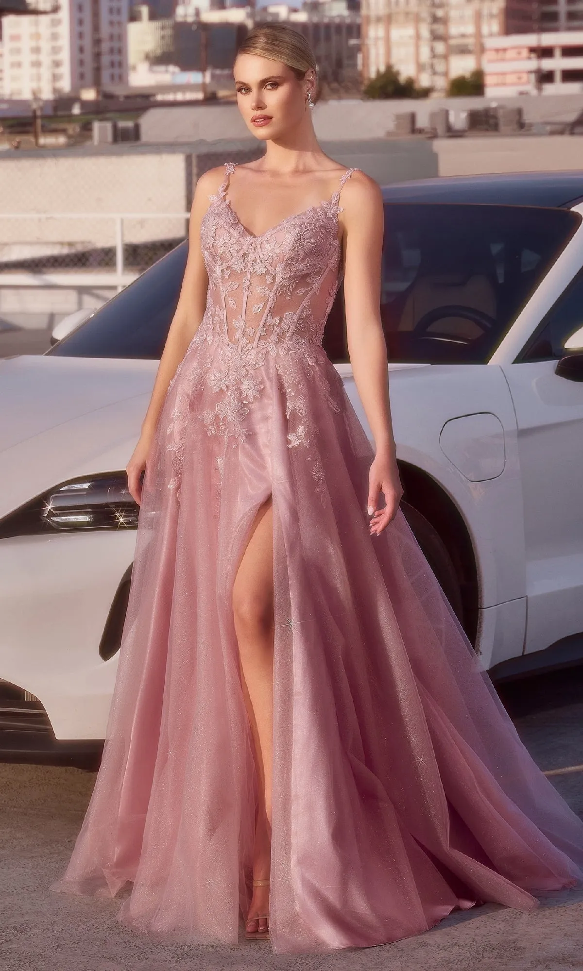 Mauve Pink Long Lace Prom Dress: Ladivine CDS533 sold by PromGirl