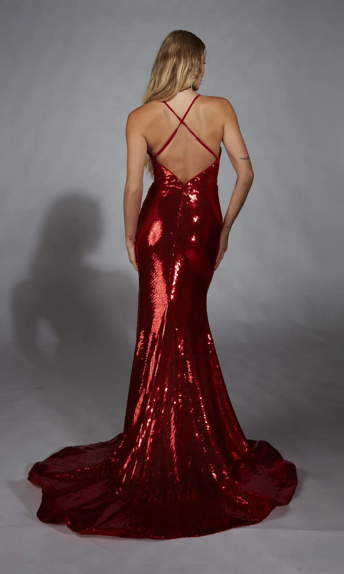 Long Prom Dress: Alyce 61822 sold by PromGirl product image thumbnail 2