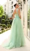 Long Prom Dress: Tina Holly TW500 sold by PromGirl