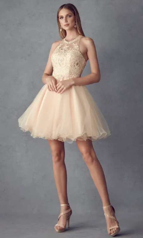 Short Hoco Dress: Juliet 826 sold by PromGirl