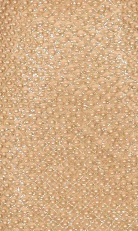 Pearl Short Hoco Dress: PromGirl Exclusive 250148 sold by PromGirl product image thumbnail 3