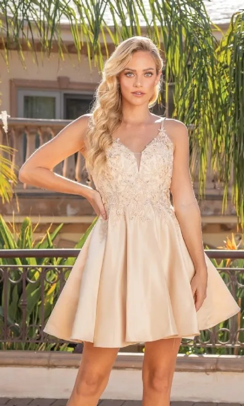 Short Fit-and-Flare Hoco Dress: Dancing Queen 3340 sold by PromGirl
