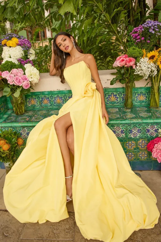 Long Prom Dress: Ava Presley 47204 sold by PromGirl