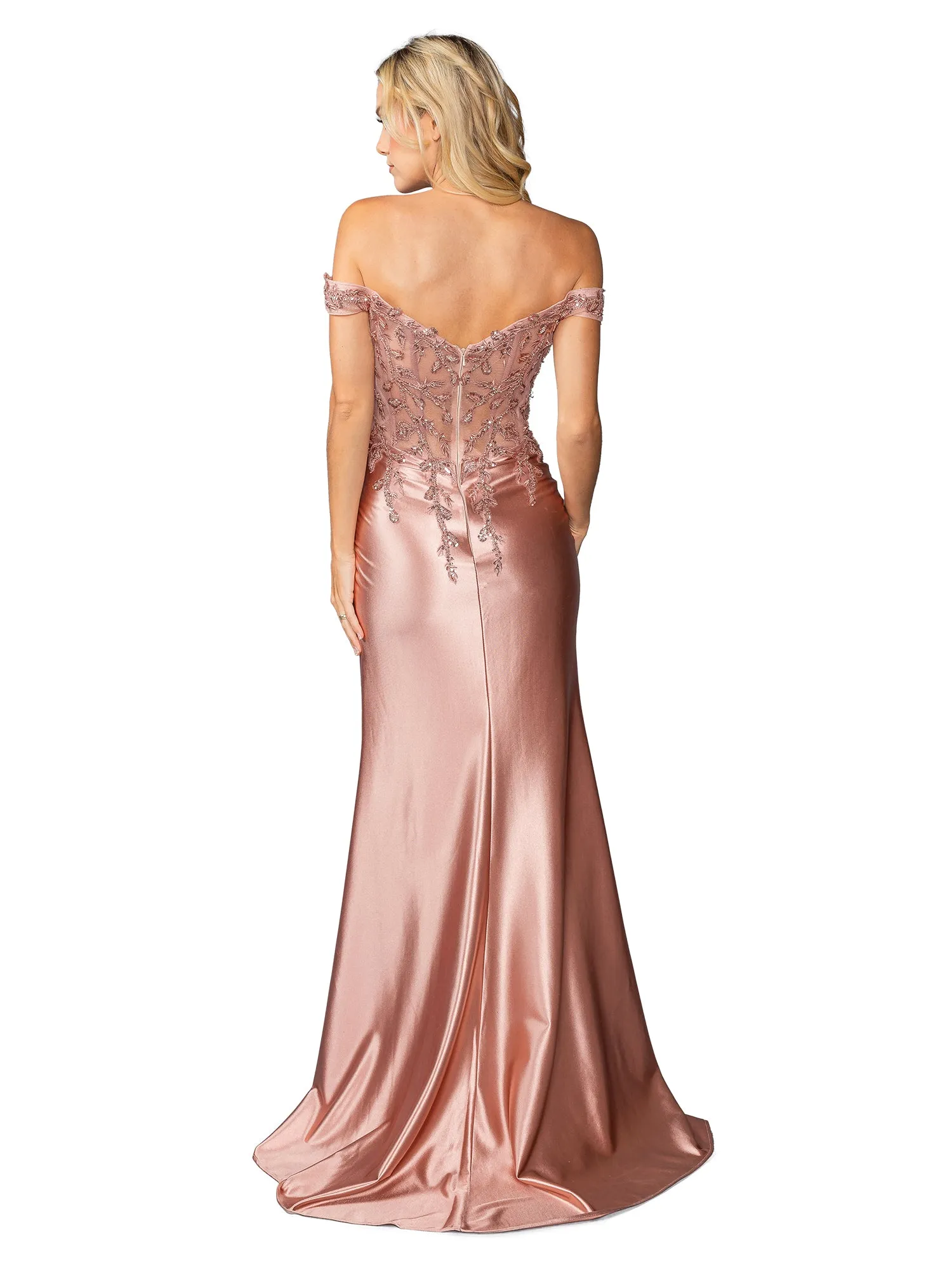 Lace-Bodice Long Prom Dress: Dancing Queen 4442 sold by PromGirl product image thumbnail 2