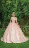 Quinceanera Dress 1595 by Dancing Queen sold by PromGirl