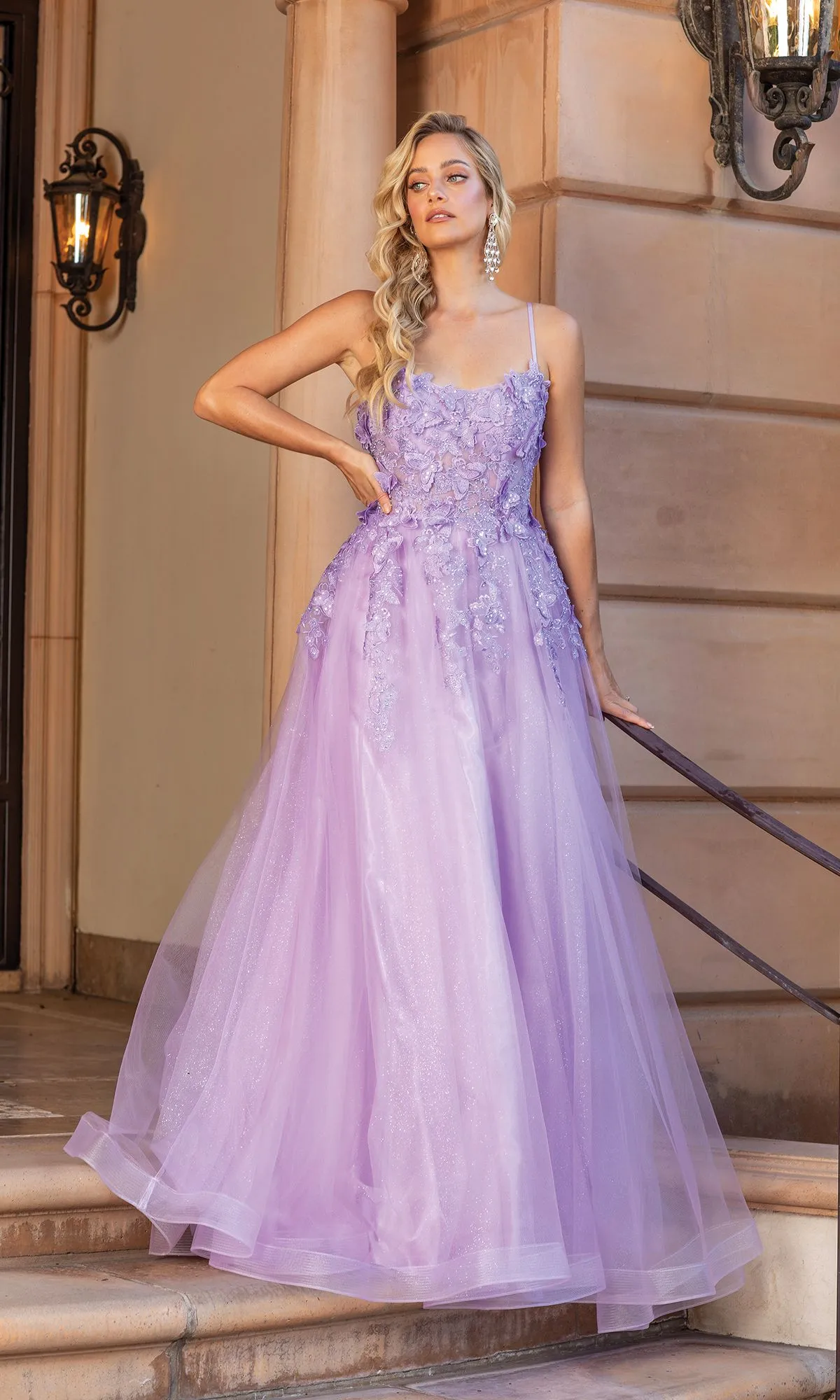 Long A-Line Prom Ball Gown with Butterflies 4355 sold by PromGirl