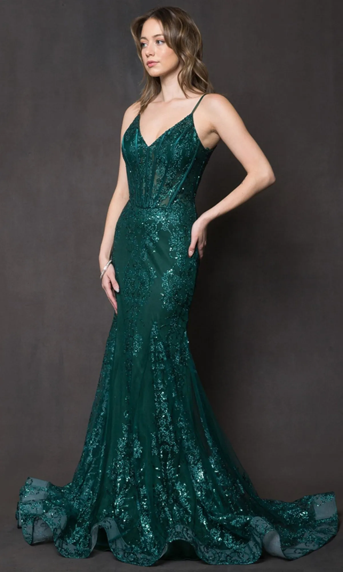 Sheer-Corset Long Glitter-Print Prom Dress BZ015 sold by PromGirl product image thumbnail 5