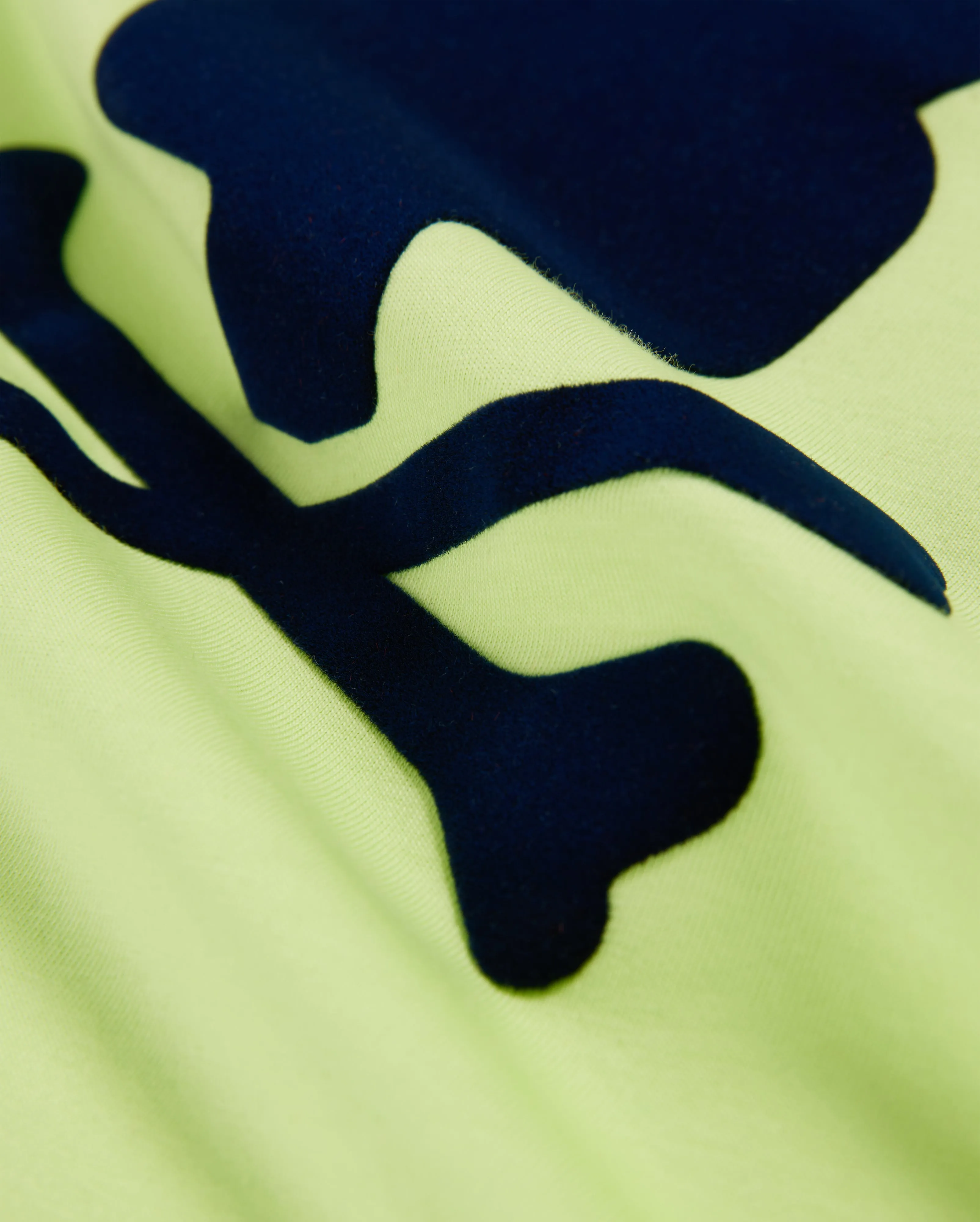 MENS LOS ANGELES FLOCKING GRAPHIC TEE - B6U643Z1PC sold by Psycho Bunny product image thumbnail 4