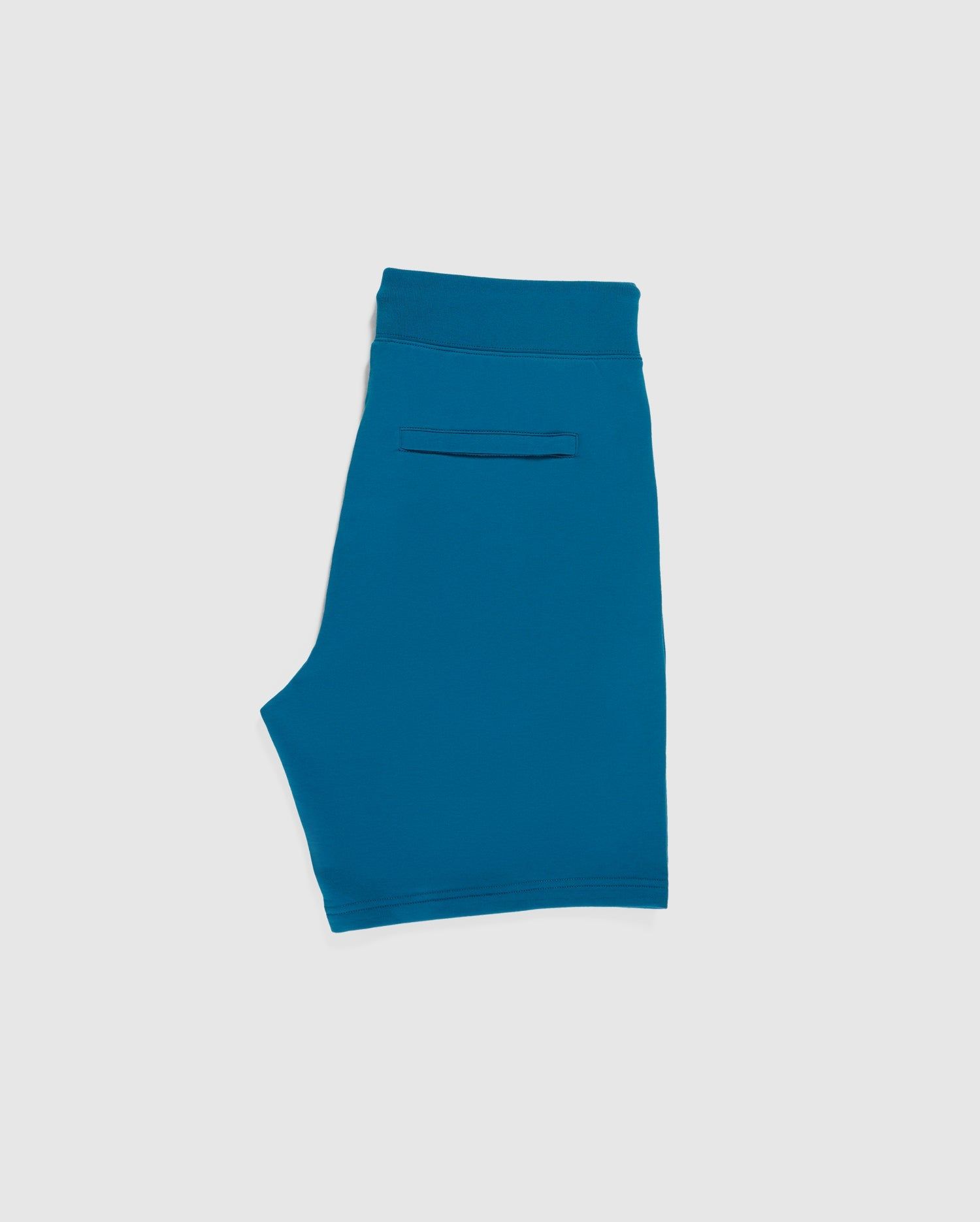 MENS GRESHAM EMBROIDERED SWEAT SHORTS - B6R161W1FT sold by Psycho Bunny product image thumbnail 6