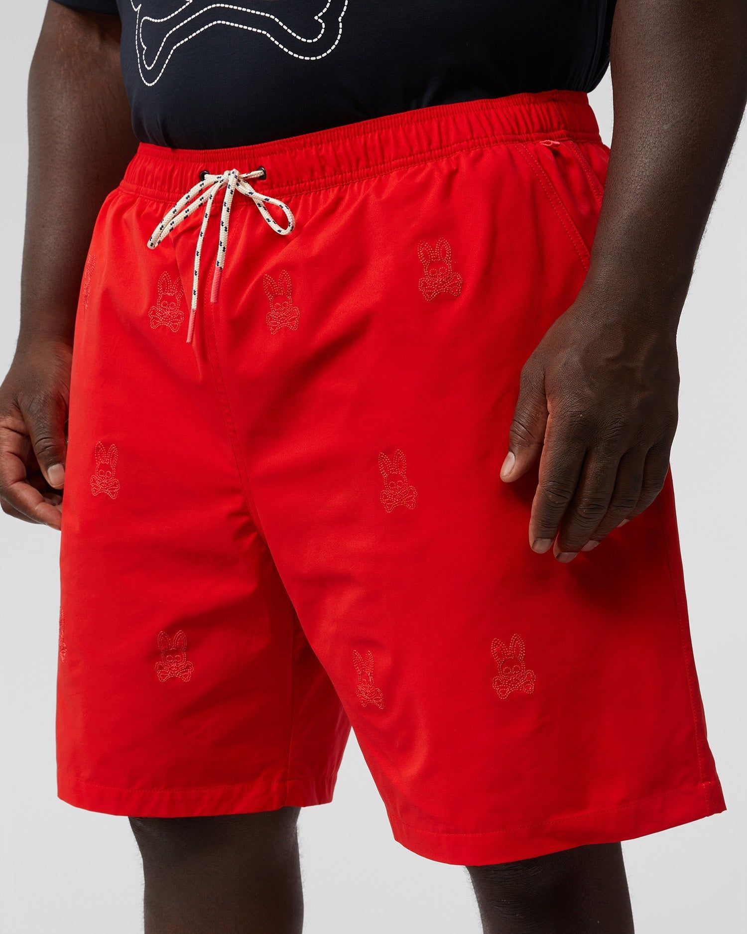 MENS BIG AND TALL LARKIN SWIM SHORTS - B9W514T1PO sold by Psycho Bunny product image thumbnail 2