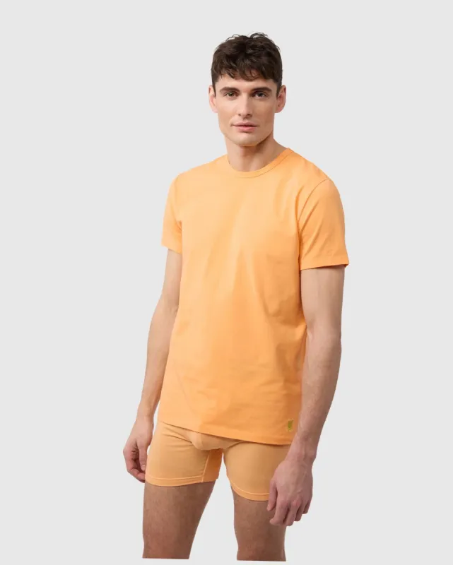 MENS CREW NECK LOUNGE TEE 2 PACK - B6U904B200 sold by Psycho Bunny