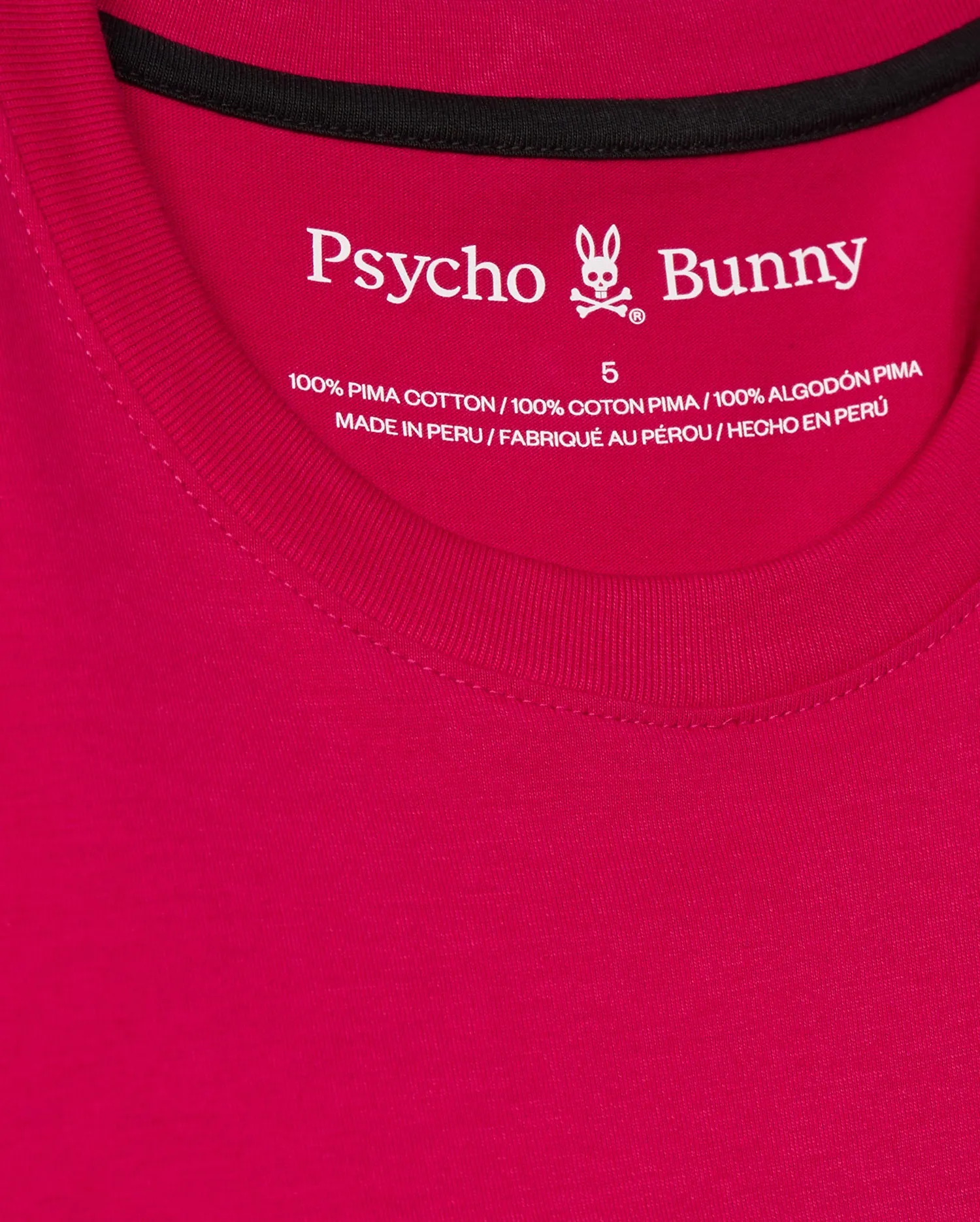 BIG AND TALL TACOMA GRAPHIC TEE - B9U909D200 sold by Psycho Bunny product image thumbnail 4