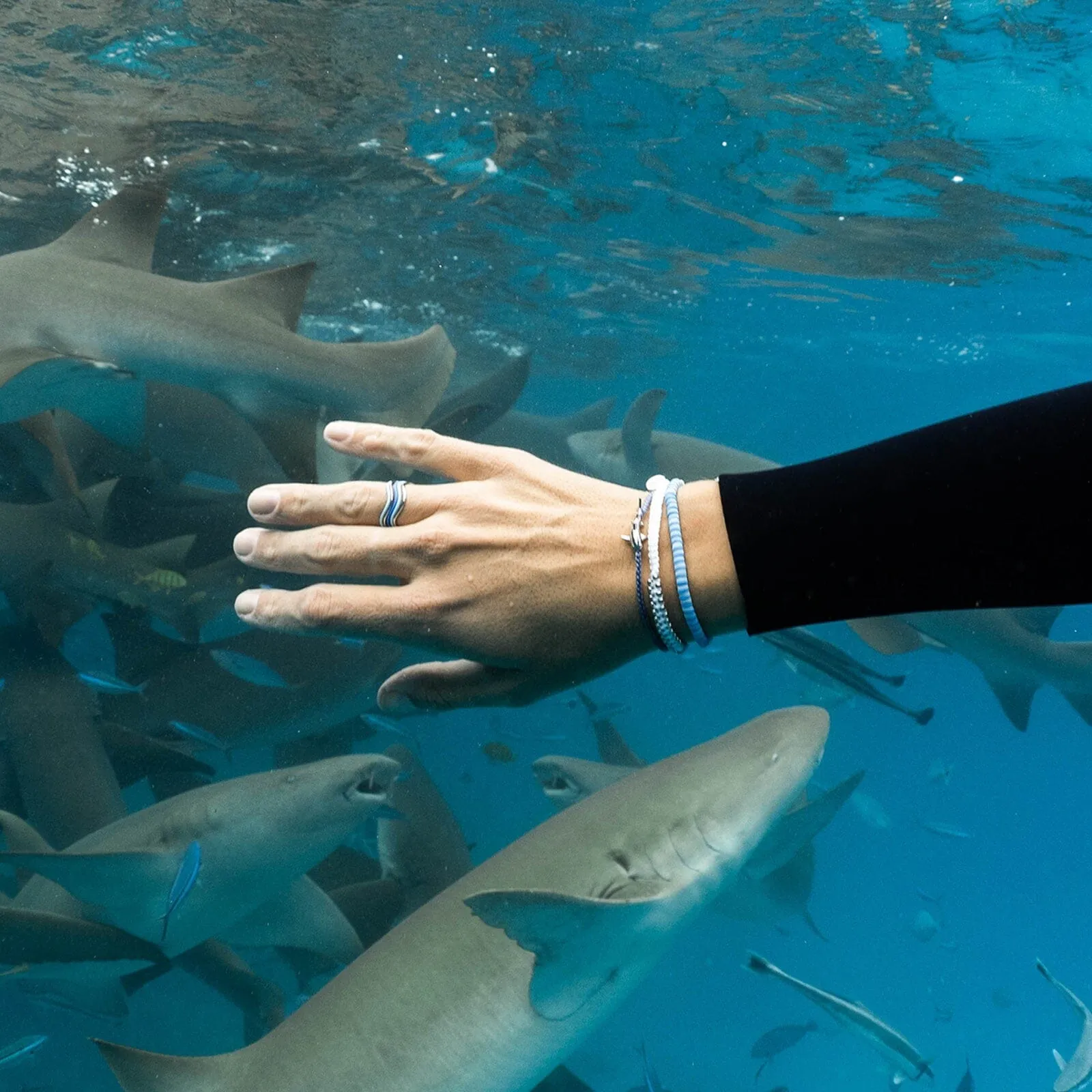 Silver Shark Style Pack sold by Pura Vida product image thumbnail 3