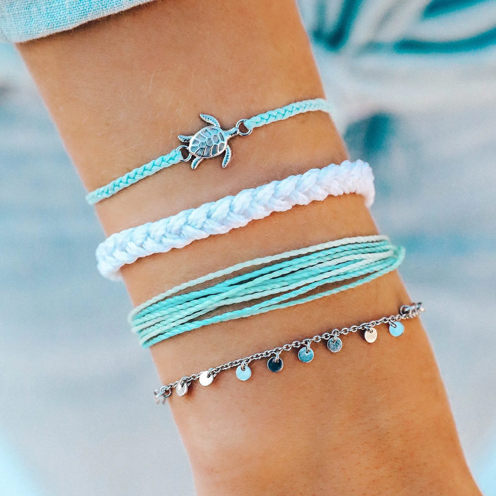 Sea Turtle Pack sold by Pura Vida product image thumbnail 3