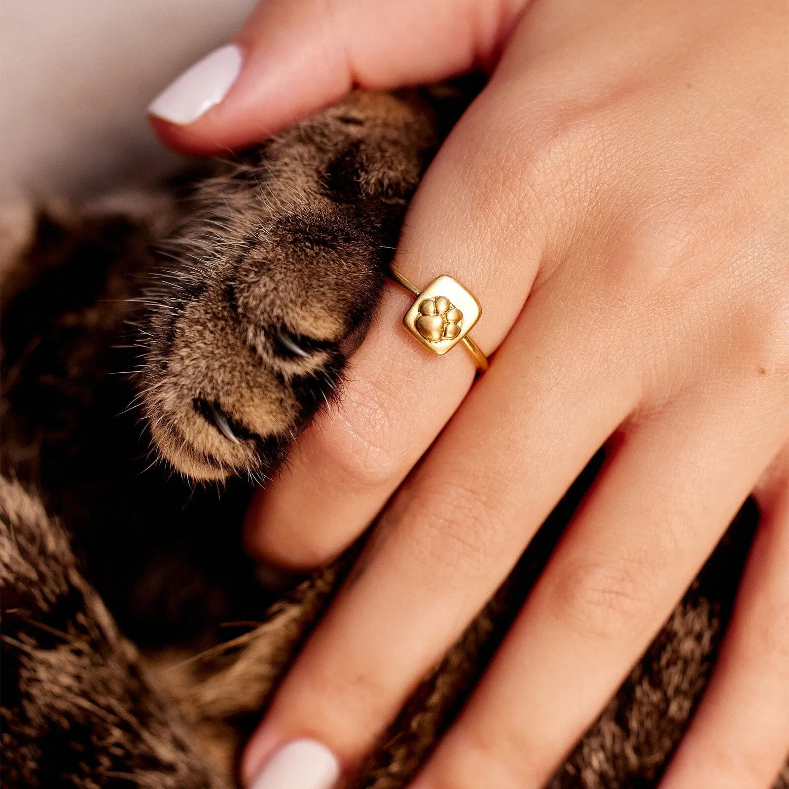 Paw Ring sold by Pura Vida product image thumbnail 2