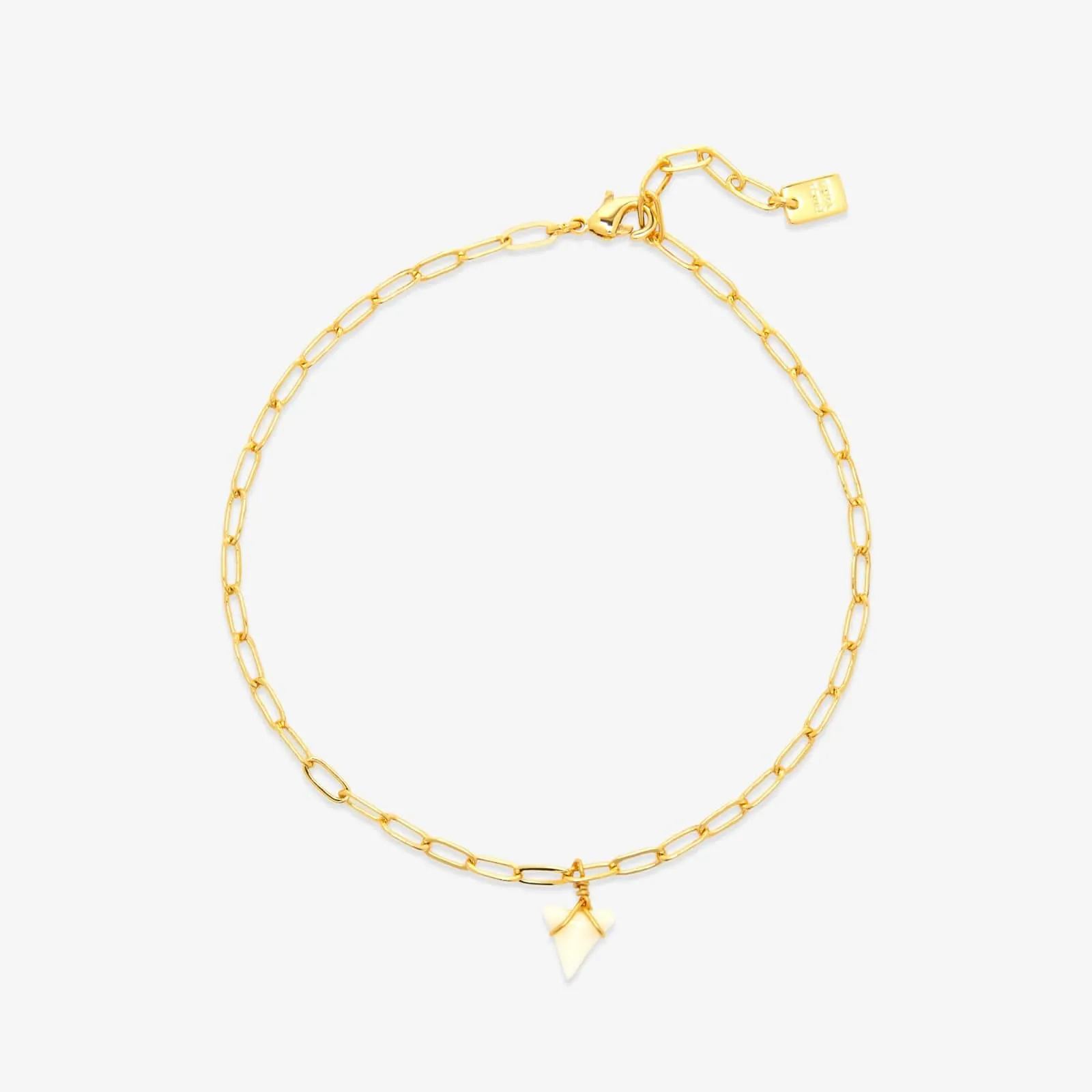 White Shark Tooth Chain Anklet sold by Pura Vida