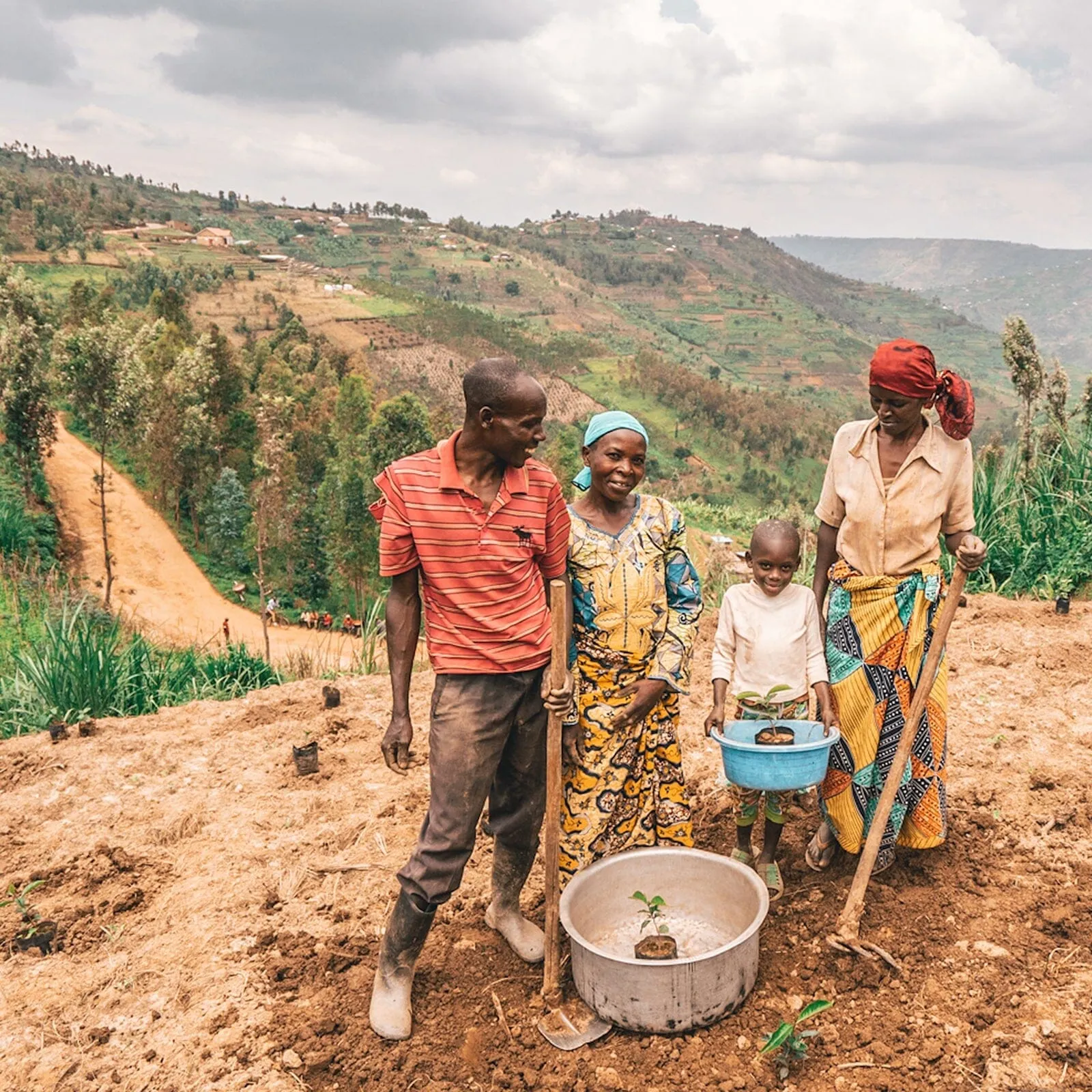 One Tree Planted Bracelet sold by Pura Vida product image thumbnail 4
